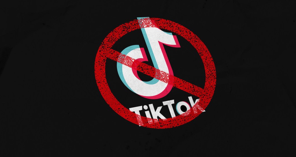 The impact of TikTok’s ban in other countries could signal what’s ahead for the US