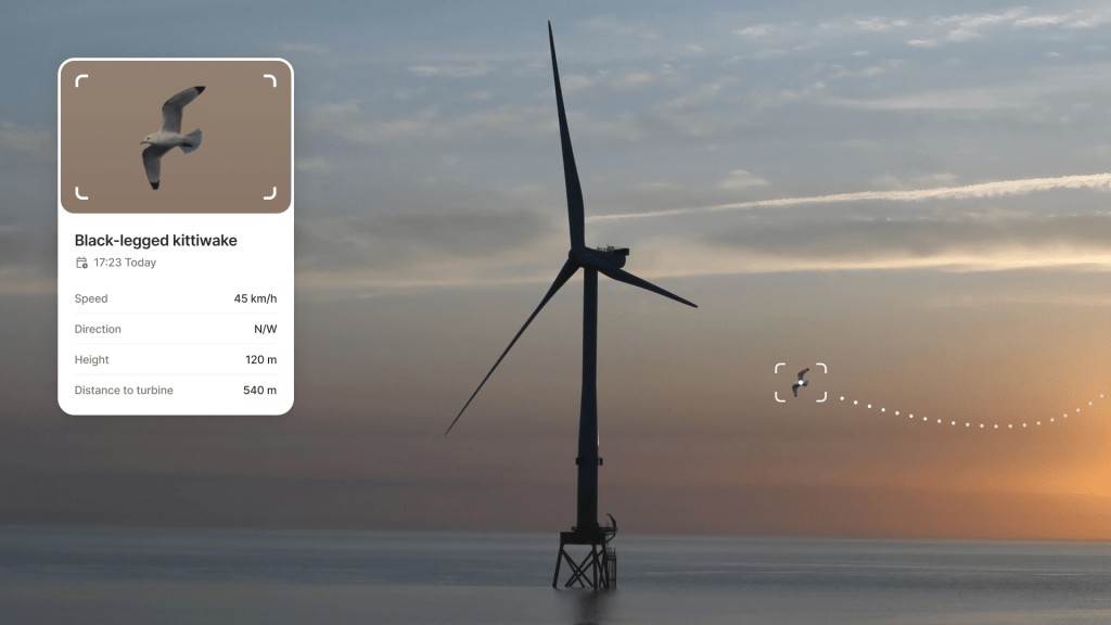 Spoor uses AI to save birds from wind turbines